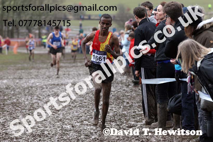 Boys under-15s 2018 British Inter Counties Cross Country Champs., Prestwold Hall, Loughborough. Photo: David T. Hewitson/Sports for All Pics